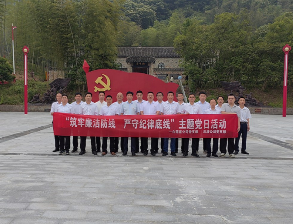白蓮崖電站、流波電站_副本.png